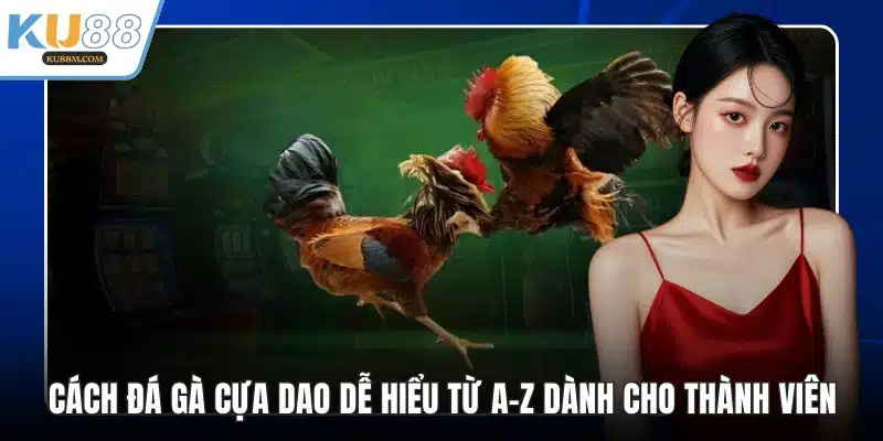 Cách đá gà cựa dao