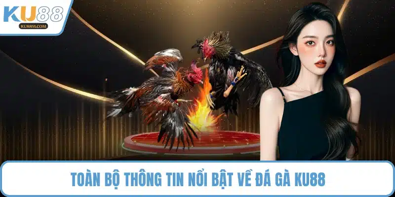 Toàn bộ thông tin nổi bật về đá gà KU88